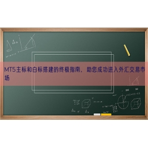 MT5主标和白标搭建的终极指南，助您成功进入外汇交易市场