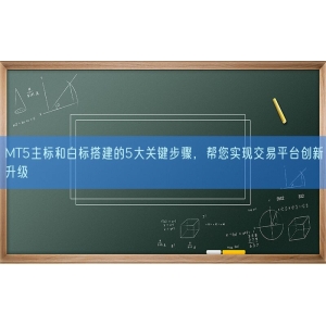 MT5主标和白标搭建的5大关键步骤，帮您实现交易平台创新升级