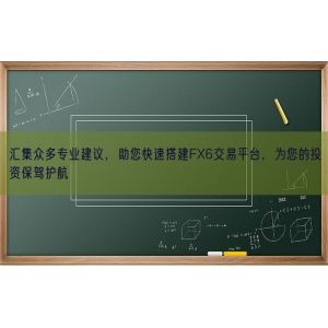 汇集众多专业建议，助您快速搭建FX6交易平台，为您的投资保驾护航