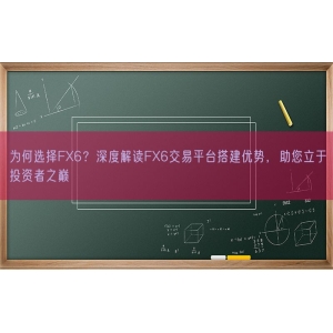 为何选择FX6？深度解读FX6交易平台搭建优势，助您立于投资者之巅