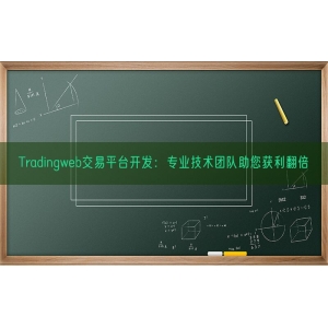 Tradingweb交易平台开发：专业技术团队助您获利翻倍