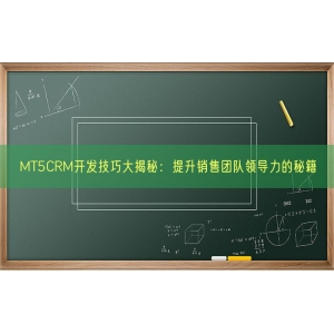 MT5CRM开发技巧大揭秘：提升销售团队领导力的秘籍