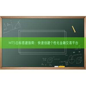 MT5白标搭建指南：快速创建个性化金融交易平台