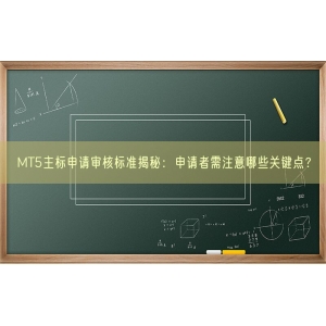 MT5主标申请审核标准揭秘：申请者需注意哪些关键点？