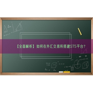 【全面解析】如何在外汇交易所搭建ST5平台？