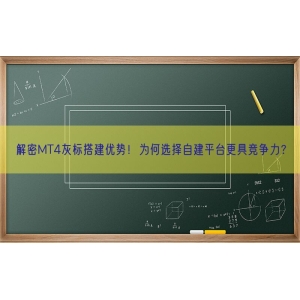 解密MT4灰标搭建优势！为何选择自建平台更具竞争力？