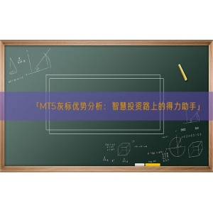 「MT5灰标优势分析：智慧投资路上的得力助手」