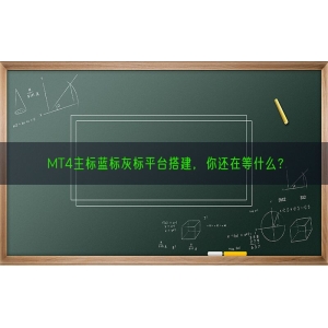 MT4主标蓝标灰标平台搭建，你还在等什么？