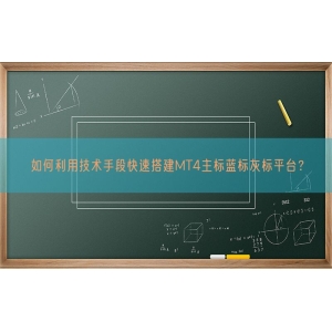 如何利用技术手段快速搭建MT4主标蓝标灰标平台？