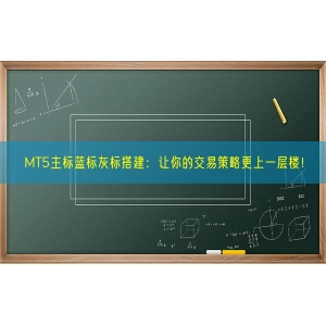 MT5主标蓝标灰标搭建：让你的交易策略更上一层楼！