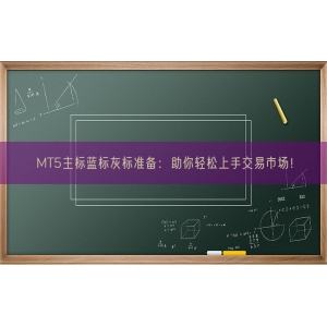 MT5主标蓝标灰标准备：助你轻松上手交易市场！