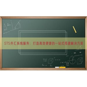 ST5外汇系统服务：打造高效便捷的一站式搭建解决方案