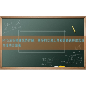 MT5灰标搭建优势详解：更多的交易工具和策略选择助您成为成功交易者