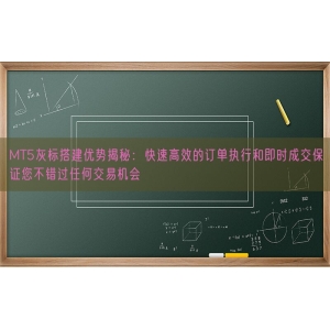 MT5灰标搭建优势揭秘：快速高效的订单执行和即时成交保证您不错过任何交易机会