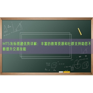 MT5灰标搭建优势详解：丰富的教育资源和社群支持助您不断提升交易技能