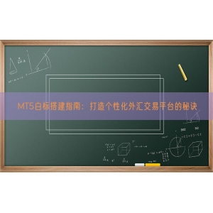 MT5白标搭建指南：打造个性化外汇交易平台的秘诀