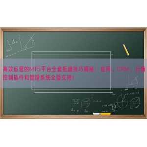 高效运营的MT5平台全套搭建技巧揭秘：官网、CRM、行情控制插件和管理系统全面支