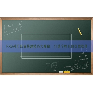 FX6外汇系统搭建技巧大揭秘：打造个性化的交易软件