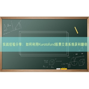 实战经验分享：如何利用Kurotofund股票交易系统获利翻倍