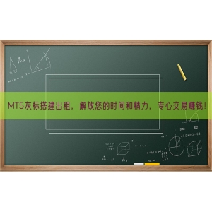 MT5灰标搭建出租，解放您的时间和精力，专心交易赚钱！