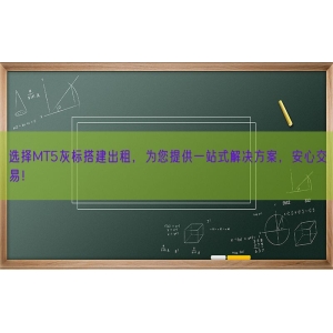 选择MT5灰标搭建出租，为您提供一站式解决方案，安心交易！