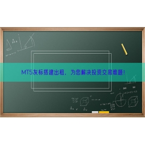 MT5灰标搭建出租，为您解决投资交易难题！