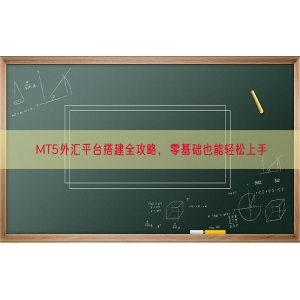 MT5外汇平台搭建全攻略，零基础也能轻松上手