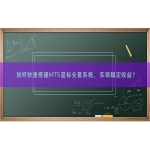 如何快速搭建MT5蓝标全套系统，实现稳定收益？