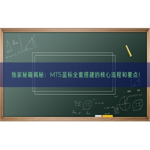 独家秘籍揭秘：MT5蓝标全套搭建的核心流程和要点！