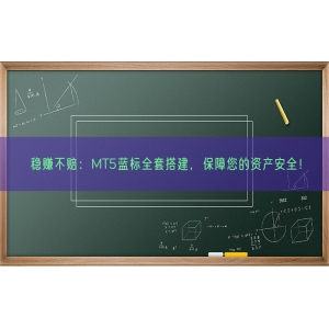 稳赚不赔：MT5蓝标全套搭建，保障您的资产安全！