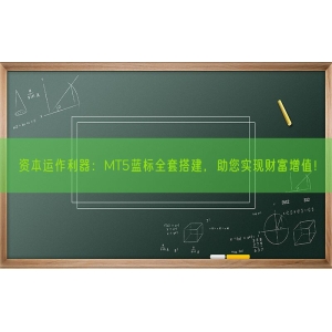 资本运作利器：MT5蓝标全套搭建，助您实现财富增值！