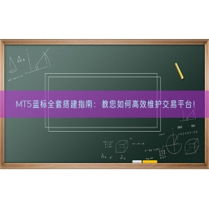 MT5蓝标全套搭建指南：教您如何高效维护交易平台！