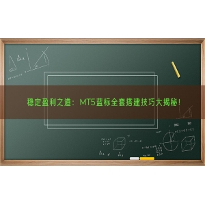 稳定盈利之道：MT5蓝标全套搭建技巧大揭秘！