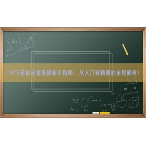 MT5蓝标全套搭建新手指南：从入门到精通的全程解析！