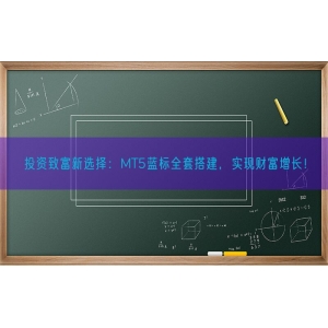 投资致富新选择：MT5蓝标全套搭建，实现财富增长！