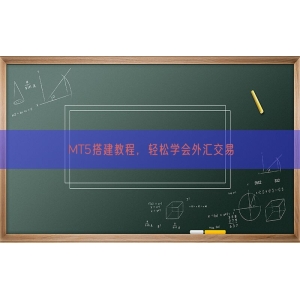 MT5搭建教程，轻松学会外汇交易