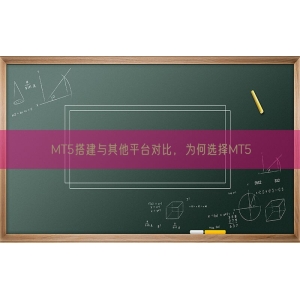 MT5搭建与其他平台对比，为何选择MT5