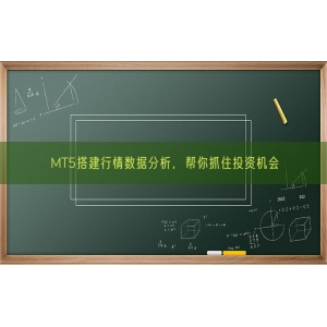 MT5搭建行情数据分析，帮你抓住投资机会