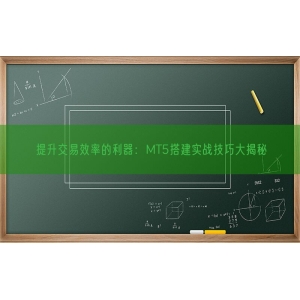 提升交易效率的利器：MT5搭建实战技巧大揭秘