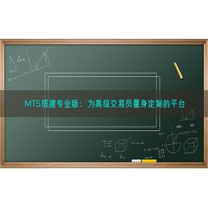 MT5搭建专业版：为高级交易员量身定制的平台