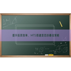 提升投资效率，MT5搭建是您的最佳策略