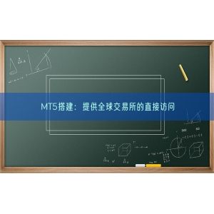 MT5搭建：提供全球交易所的直接访问