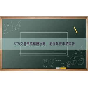 ST5交易系统搭建攻略，助你驾驭市场风云