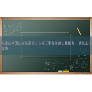 专业技术团队为您提供ST5外汇平台搭建出租服务，助您走向成功