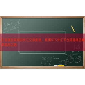 打造稳定高效的外汇交易系统，租用ST5外汇平台搭建助您畅享盈利之路