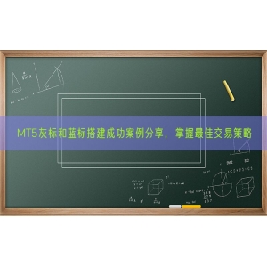 MT5灰标和蓝标搭建成功案例分享，掌握最佳交易策略