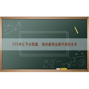 ST5外汇平台搭建，助你赢得金融市场的未来