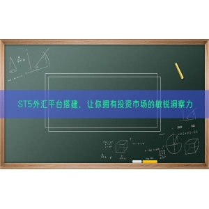 ST5外汇平台搭建，让你拥有投资市场的敏锐洞察力