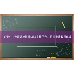 知识小白也能轻松搭建MT4主标平台，限时免费教程解读