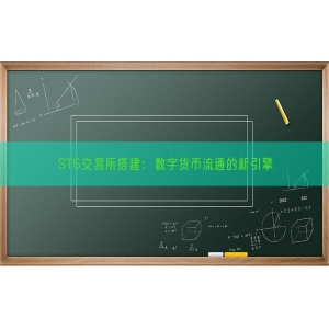 ST6交易所搭建：数字货币流通的新引擎